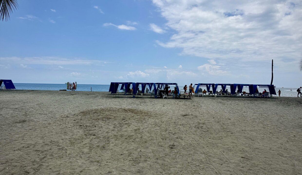 e449332e-e653-4a04-8a7c-7dd81f2a73a6