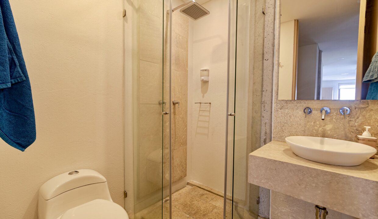 e5e81f52-83e7-44a1-98e6-2a765c328dba